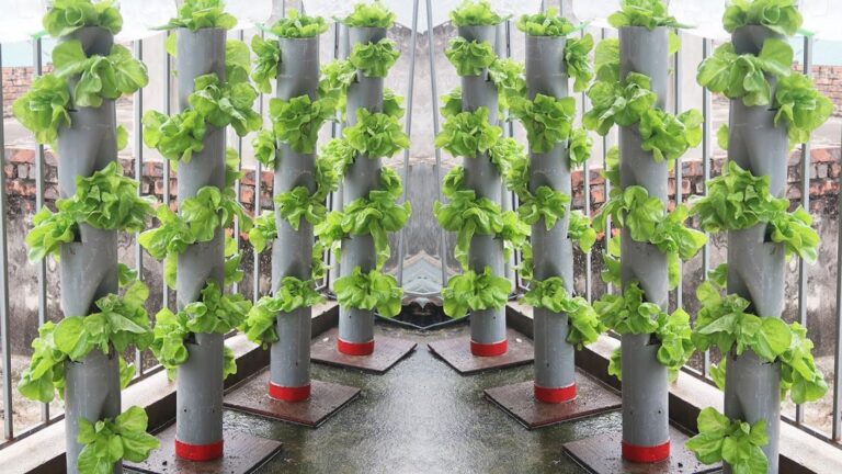 Diese geniale Idee verwandelt PVC-Rohre in ein perfektes Bewässerungssystem für deinen