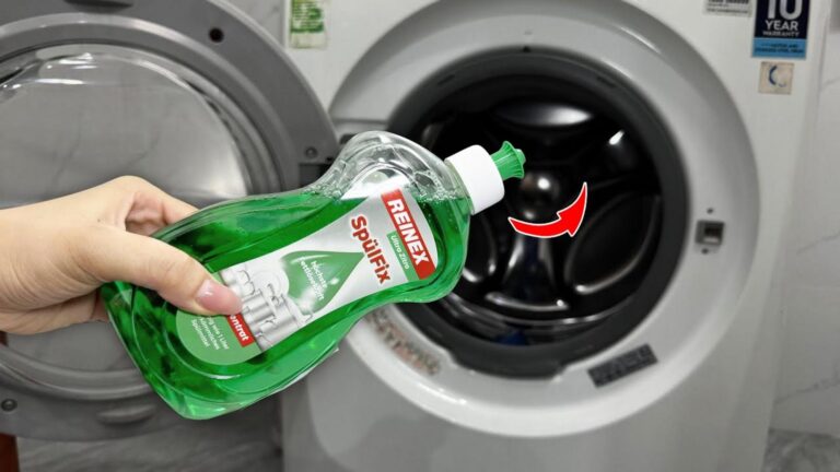 Ein ganz einfacher Trick, um die Waschmaschine blitzsauber zu bekommen…