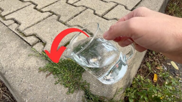 Dieser einfache Trick lässt Unkraut sofort bis zur Wurzel verschwinden…