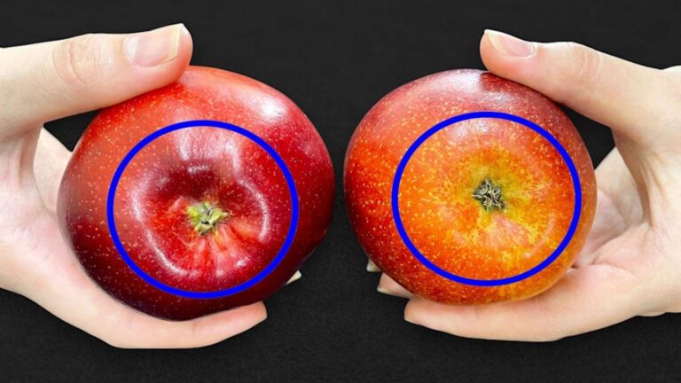 Diese einfache Methode zeigt dir, wo die besten Äpfel wirklich wachsen …