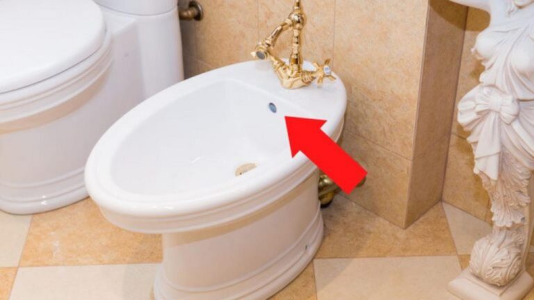 Wozu dient das zweite Loch am Bidet? Viele wissen es nicht!