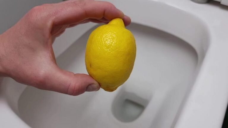 Zitrone in die Toilette? So wird’s frisch bis zum Morgen!