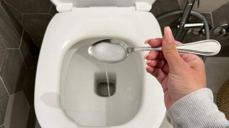 Langanhaltendes Badevergnügen: 2 Zutaten für dein WC!
