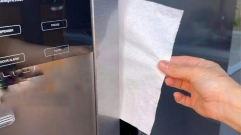 Papier Buvard im Kühlschrank: So sparen Sie Geld!