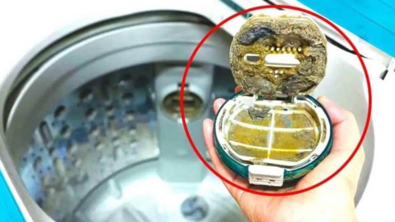 Filter der Waschmaschine richtig reinigen – so sparen Sie Geld!