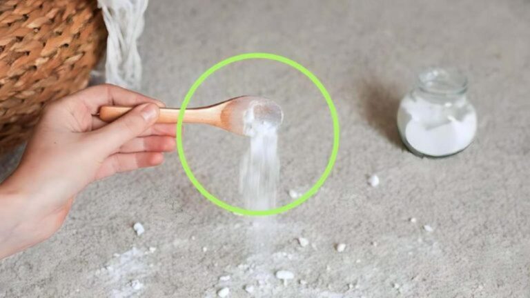 Tapis reinigen: So entfernen Sie Schmutz und Bakterien günstig!