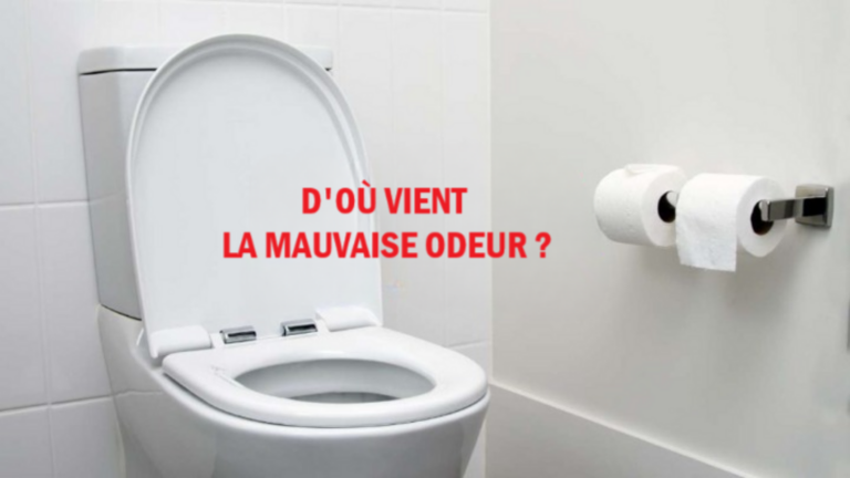 Ursache für unangenehmen Toilettengeruch: So beseitigen Sie ihn!