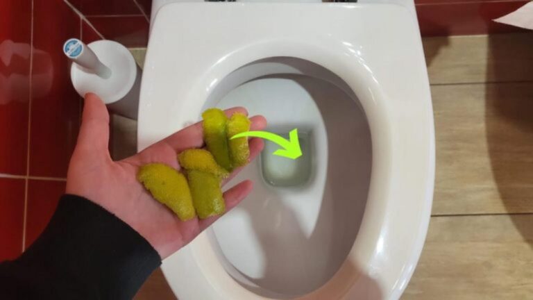 Zitronenschalen im WC: Der ultimative Trick vor dem Schlafengehen