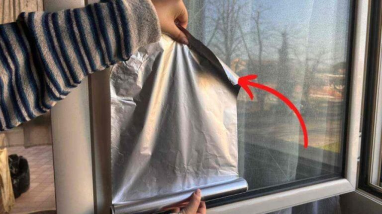 Fensterfolie: So löst du ein großes Problem ganz einfach!