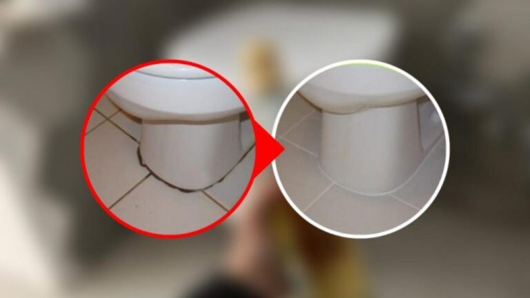 Schwarze Ränder an der Toilette: So entfernen Sie sie schnell!