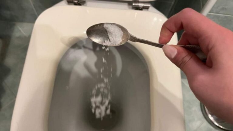 Saubere Toiletten: Das natürliche Geheimnis, das begeistert!