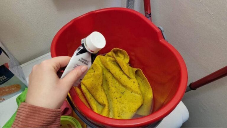 Zahnpasta ins Wasser: Der Geheimtipp für saubere Böden!