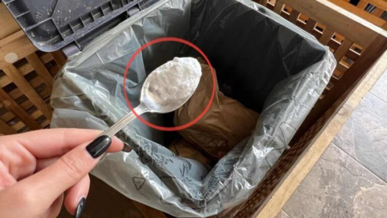 Müffelnde Abfälle? So beseitigen Sie Gerüche einfach!