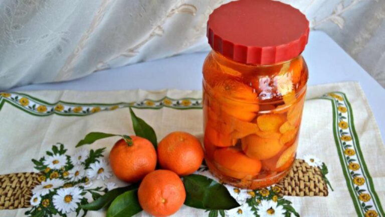 Mandarinen-Peelings im Glas: Geld sparen mit Essig!