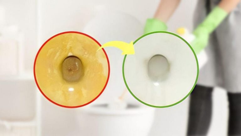 Toilettenboden blitzsauber: So wird er im Handumdrehen wieder weiß!