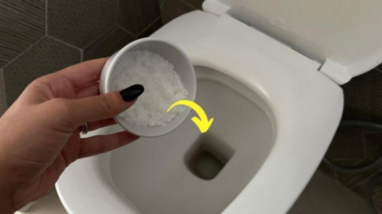 Frische und duftende Toiletten: Der beste natürliche Tipp