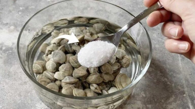 Sage Tipps gegen Sand in Muscheln – So funktioniert’s!