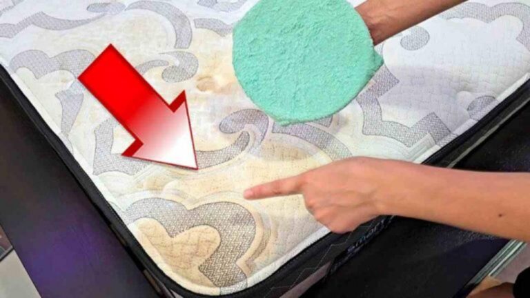 Der Geheimtipp der Putzkräfte: Flecken von Matratzen & Möbeln entfernen
