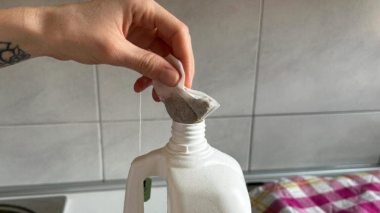 Das passiert, wenn du einen Teebeutel in Bleiche tauchst!